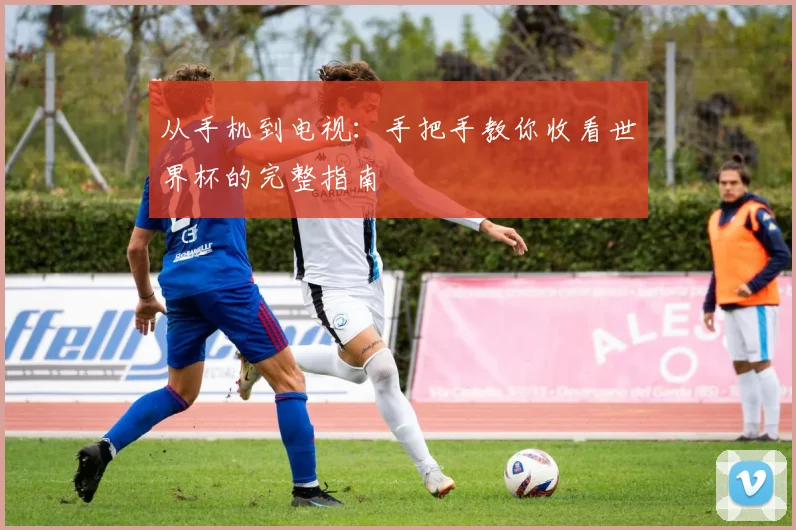 从手机到电视：手把手教你收看世界杯的完整指南