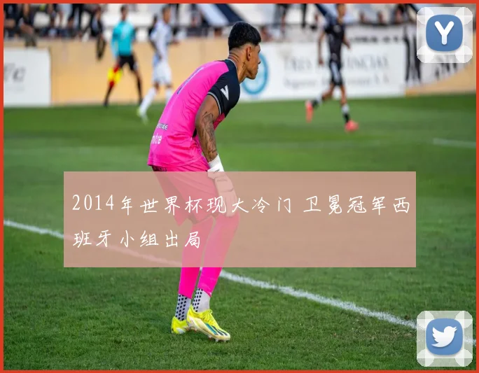 2014年世界杯现大冷门 卫冕冠军西班牙小组出局