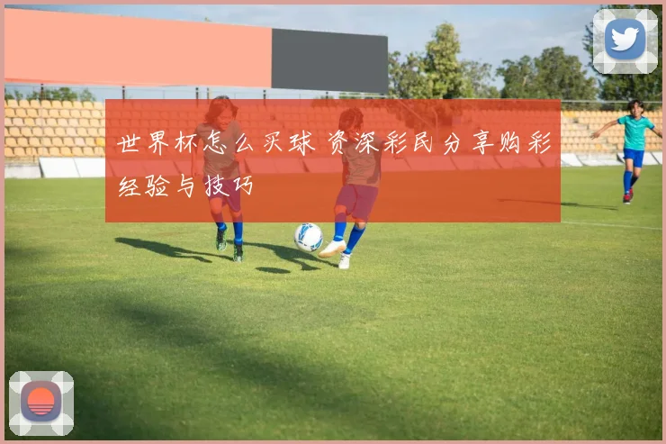 世界杯怎么买球 资深彩民分享购彩经验与技巧