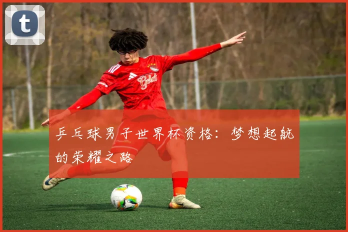 乒乓球男子世界杯资格：梦想起航的荣耀之路