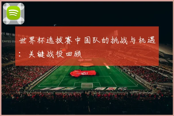 世界杯选拔赛中国队的挑战与机遇：关键战役回顾